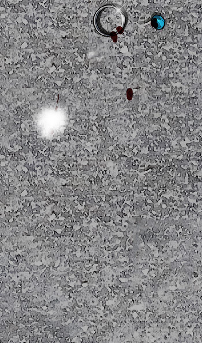 Wind Breaker chapter 250 page 115