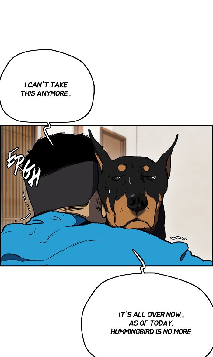 Wind Breaker chapter 254 page 2