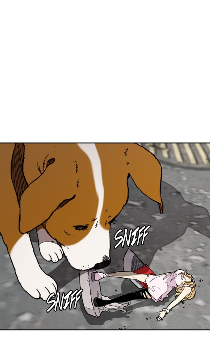 Wind Breaker chapter 278 page 101