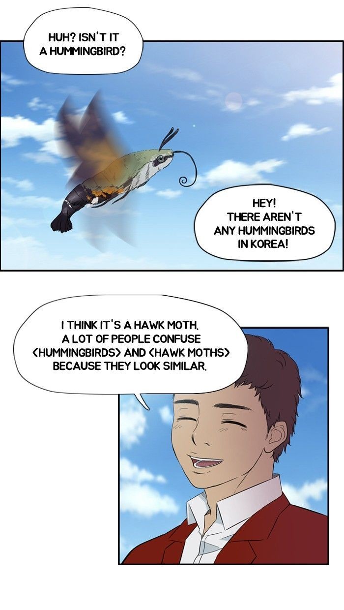 Wind Breaker chapter 28 page 42