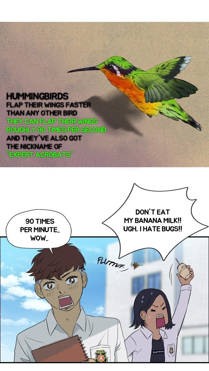 Wind Breaker chapter 28 page 43