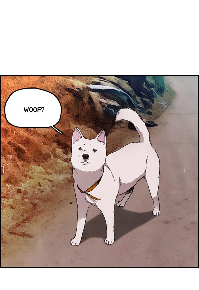 Wind Breaker chapter 291 page 94