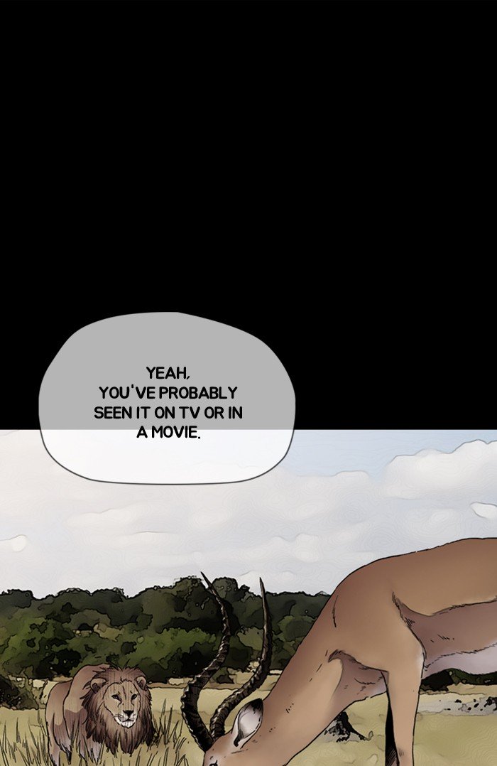 Wind Breaker chapter 294 page 80