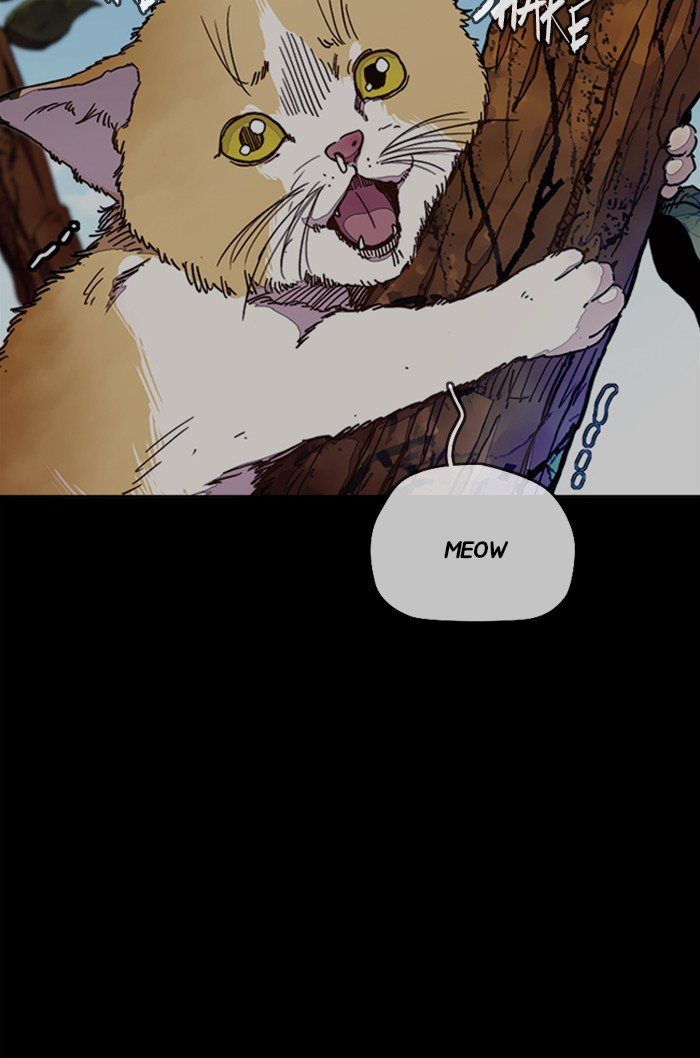 Wind Breaker chapter 318 page 36