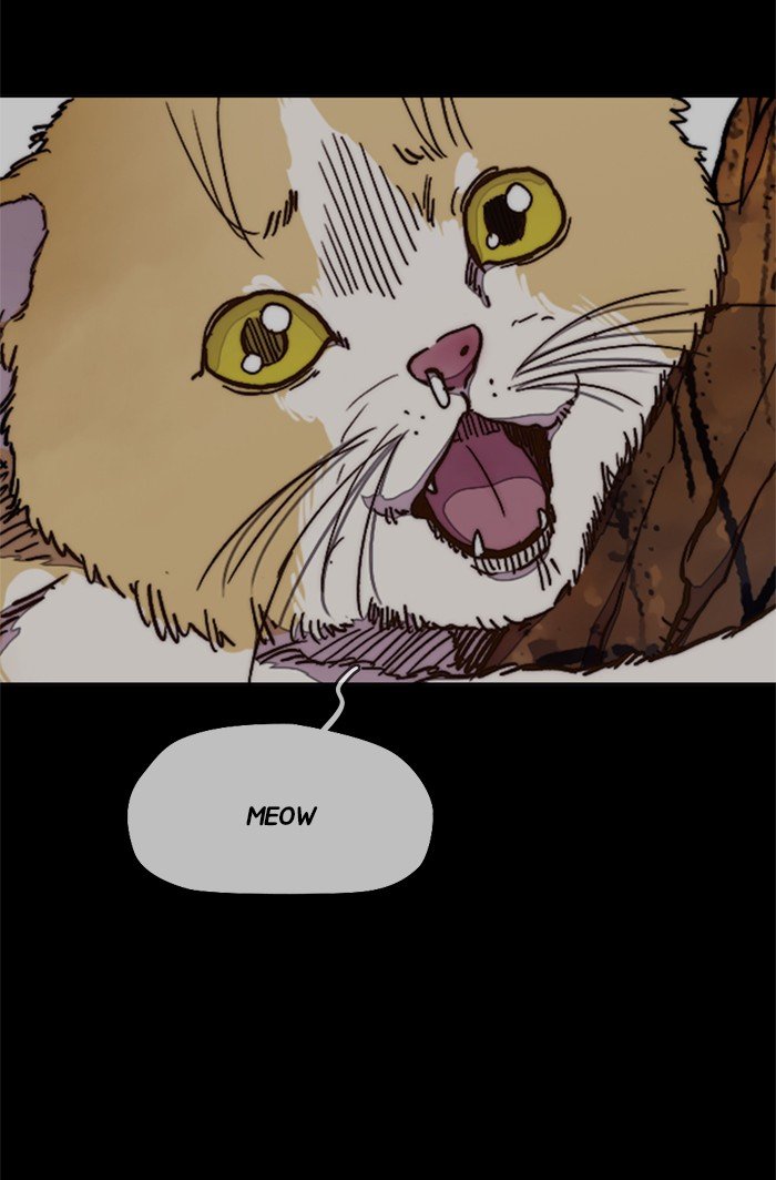 Wind Breaker chapter 318 page 64