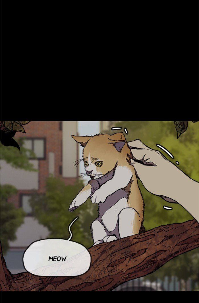 Wind Breaker chapter 318 page 66