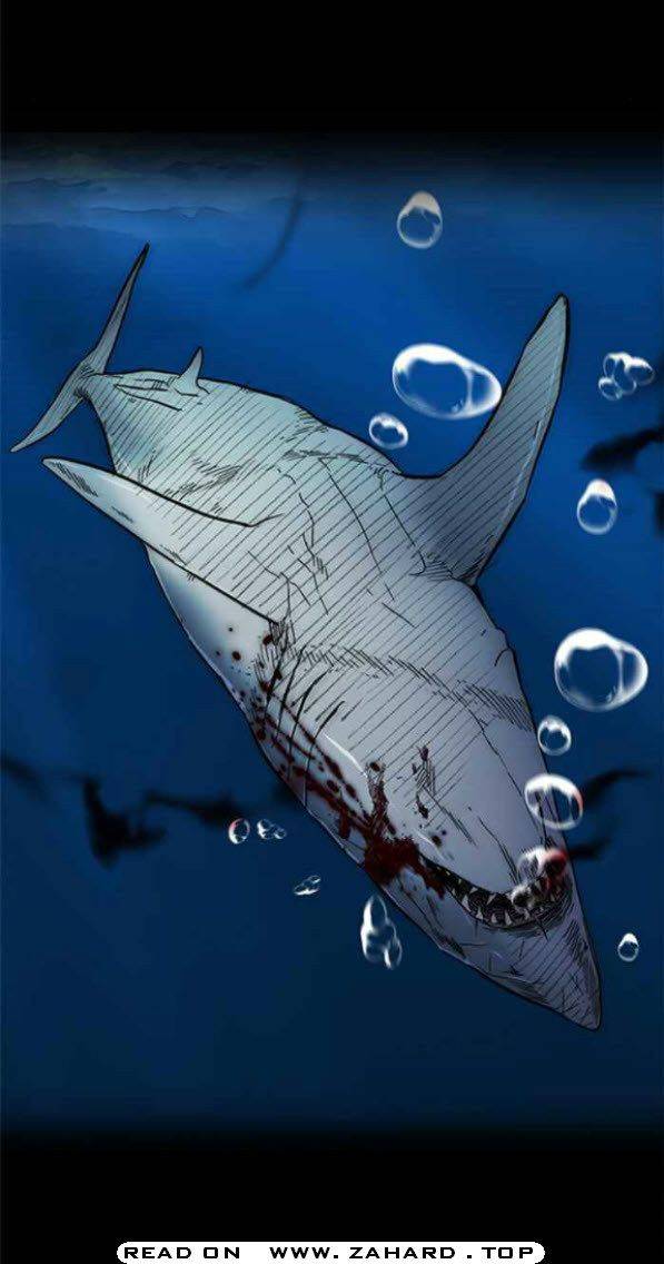 Wind Breaker chapter 341 page 20