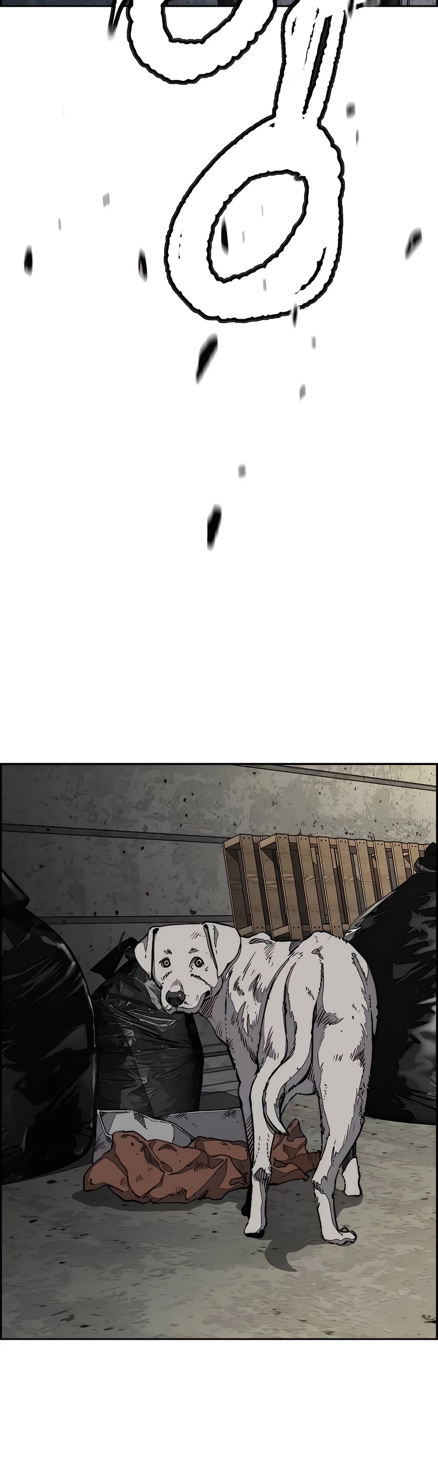 Wind Breaker chapter 517 page 77