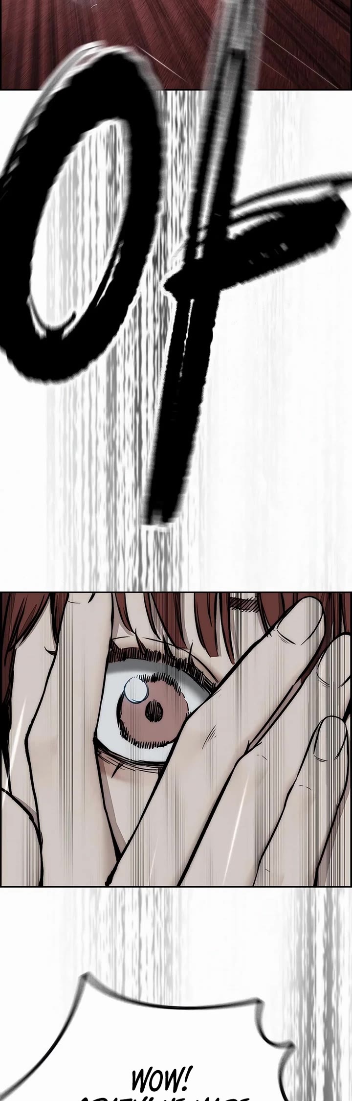 Wind Breaker chapter 536 page 14