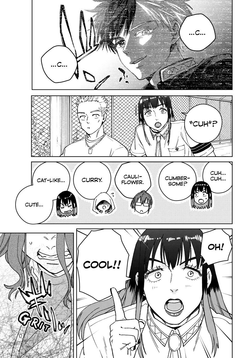 Wind Breaker (NII Satoru) chapter 163 page 17