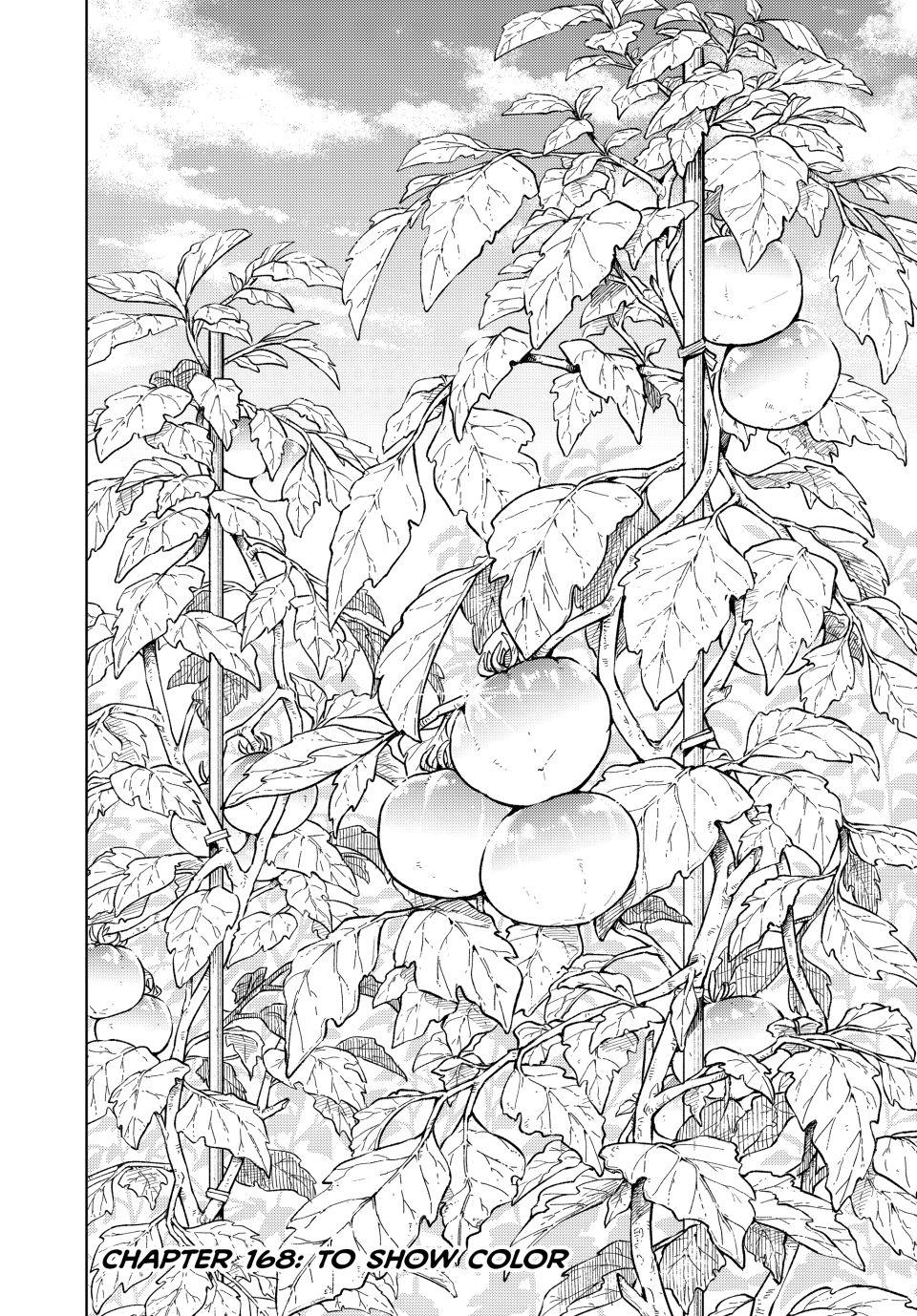 Wind Breaker (NII Satoru) chapter 168 page 2