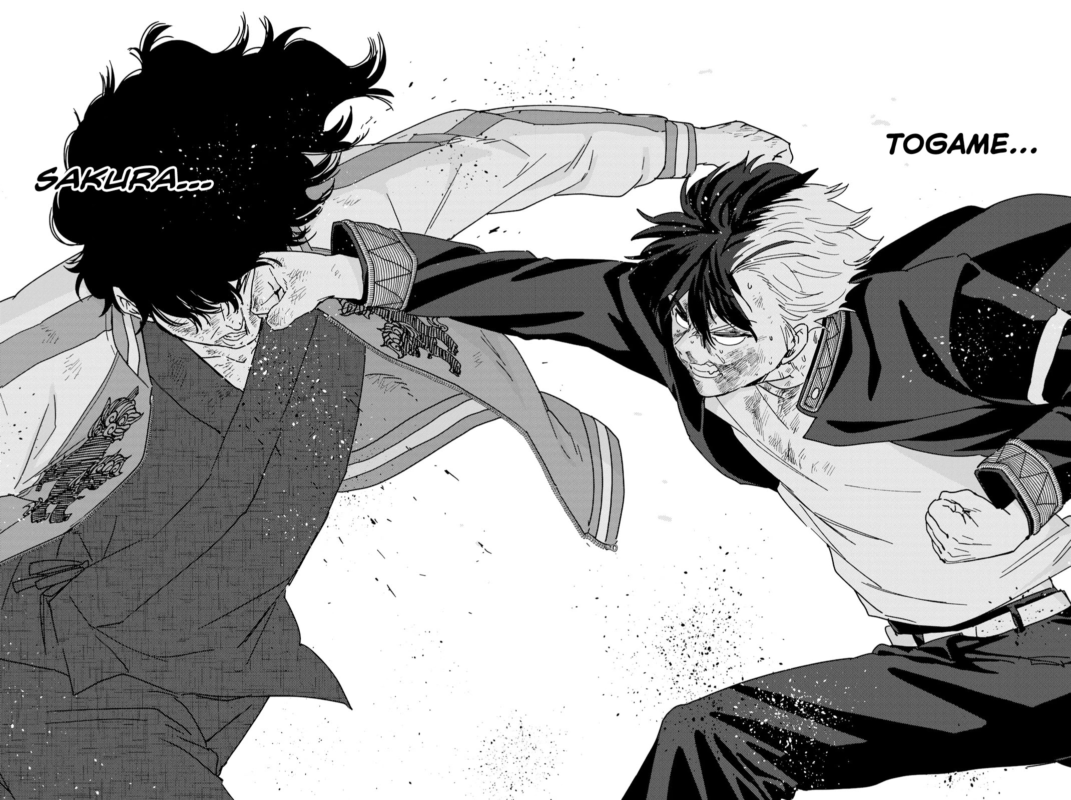 Wind Breaker (NII Satoru) chapter 21 page 14