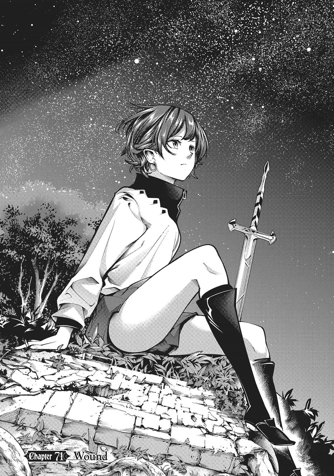 World's End Harem - Fantasia chapter 71 page 2