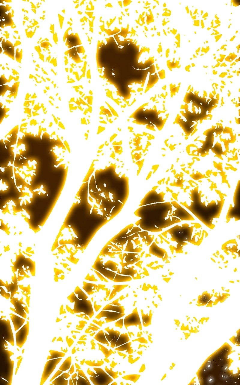 World’s Strongest Troll chapter 63 page 75