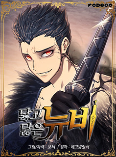 Cover of Worn and Torn Newbie