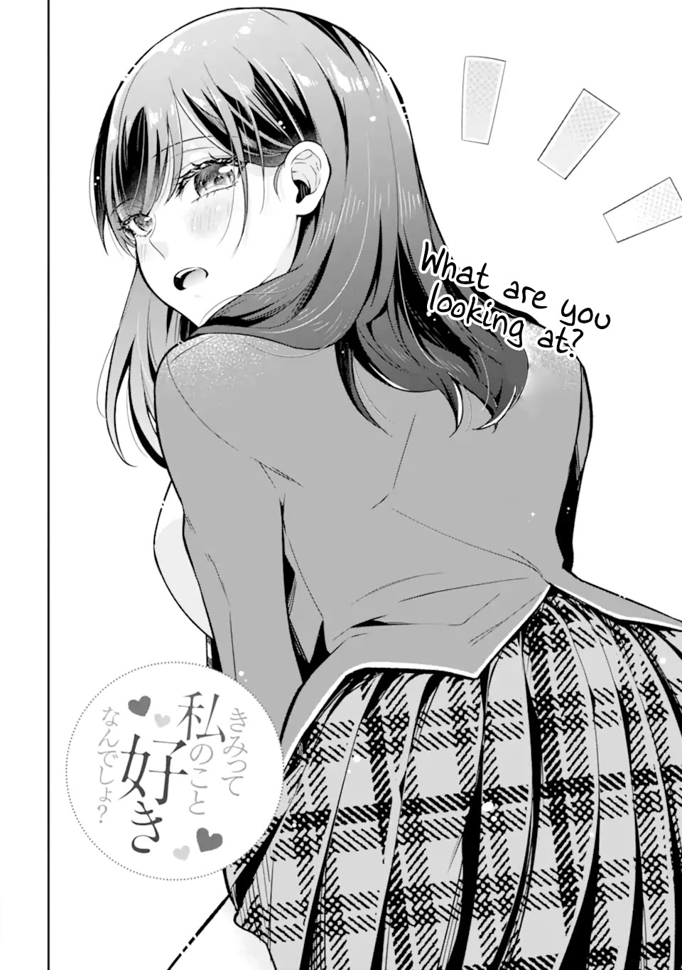 You Like Me, Don't You? chapter 13.1 page 2