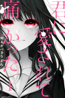 Cover of You Loved Me So Much It Hurt