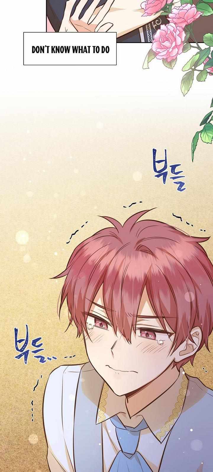 You’re a Supporting Character, Just Love Me chapter 40 page 62