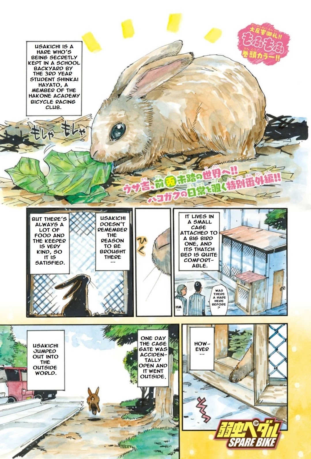 Yowamushi Pedal - Spare Bike chapter 91 page 2