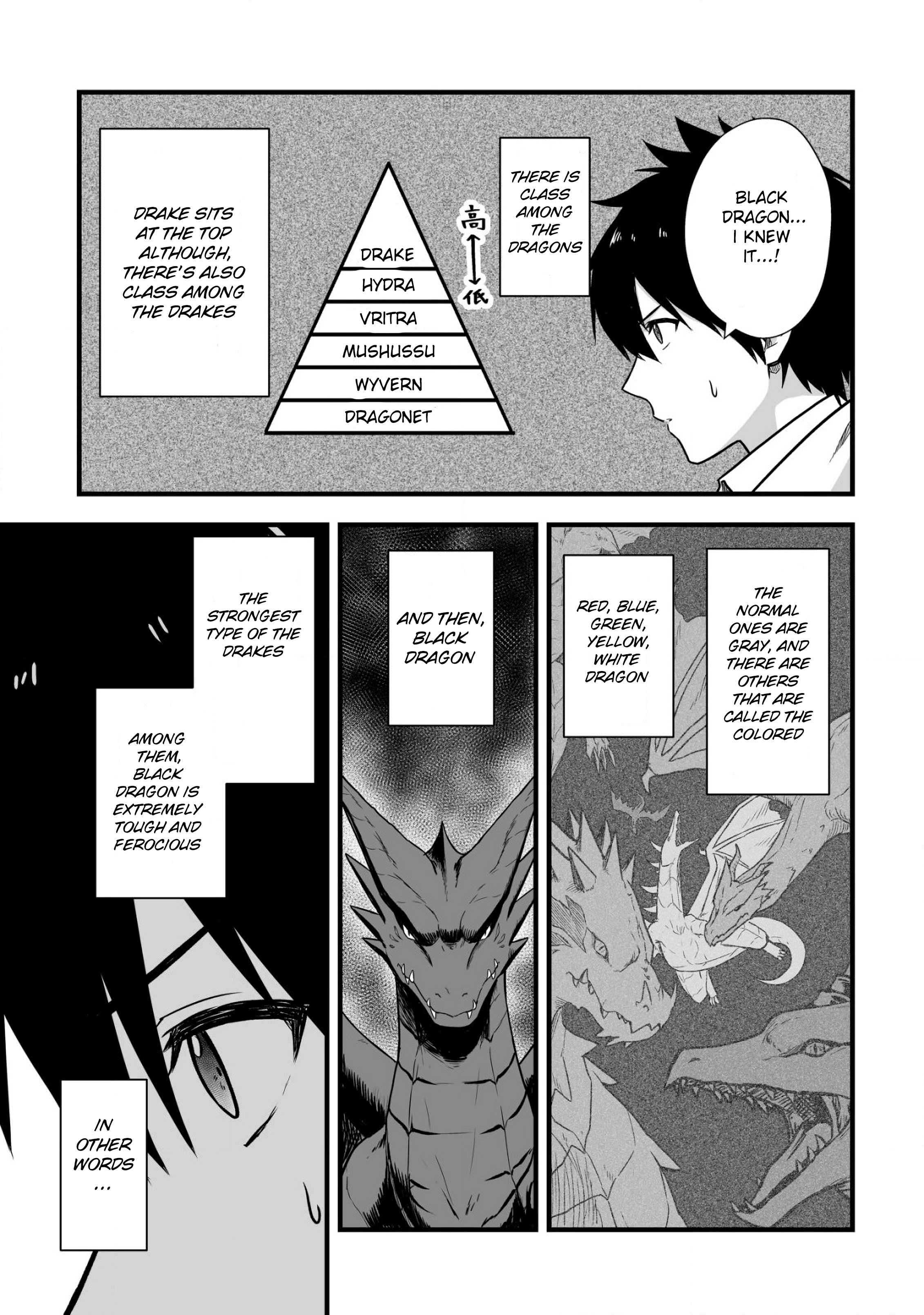 Yuiitsu Muni No Saikyou Tamer chapter 3 page 11