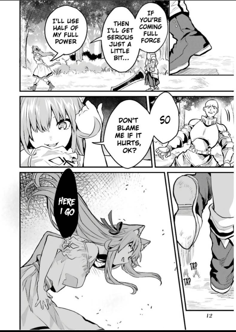 Yuusha Party wo Tsuihou Sareta Beast Tamer, Saikyou Shuzoku Nekomimi Shojo to Deau chapter 21 page 11