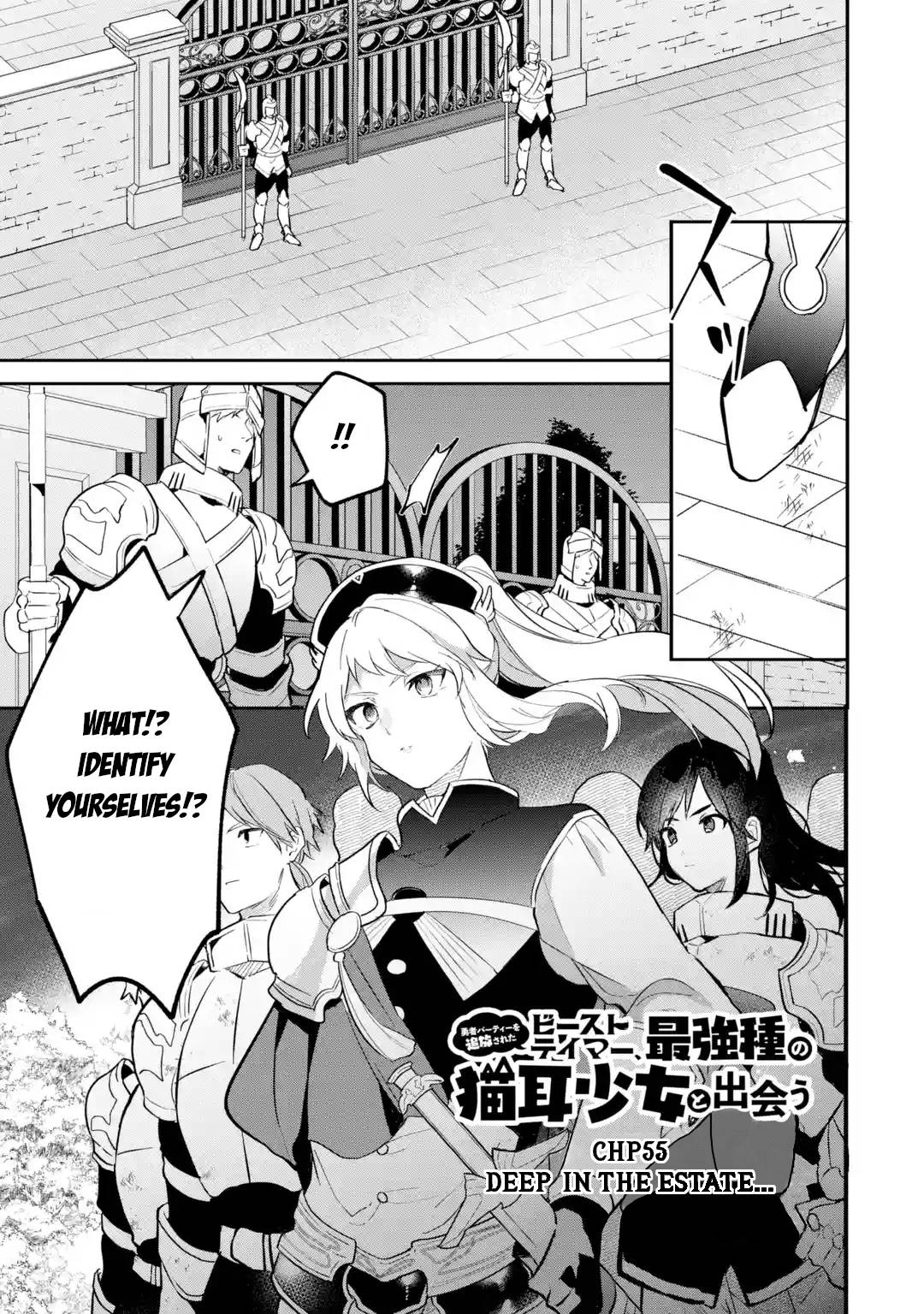 Yuusha Party wo Tsuihou Sareta Beast Tamer, Saikyou Shuzoku Nekomimi Shojo to Deau chapter 55 page 2