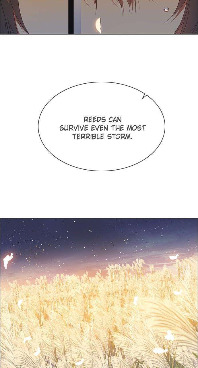 Zero Game chapter 243 page 47